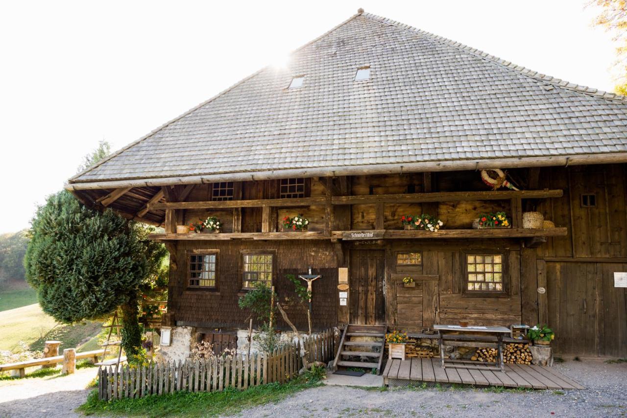 Berghaus Freiburg - Appartement Hotel Auf Dem Schauinsland Oberried  Buitenkant foto